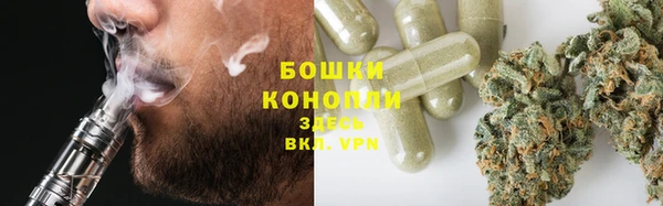 прущие грибы Алексеевка