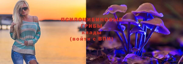 прущие грибы Алексеевка