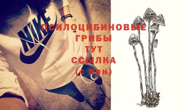 амф Алзамай
