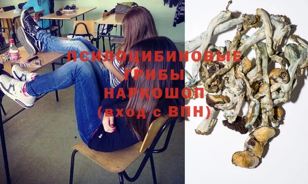 прущие грибы Алексеевка