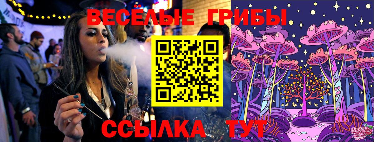 Псилоцибиновые грибы мицелий Котельники