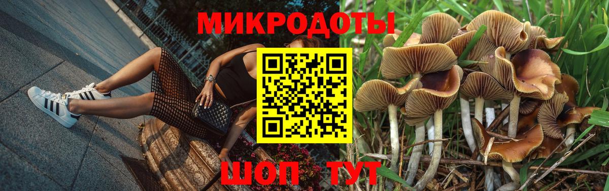 Котельники  Галлюциногенные грибы ЛСД  Галлюциногенные грибы ЛСД  Вход с VPN 